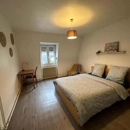Beau F3 - Proche Gare Apartamento Mulhouse Exterior foto