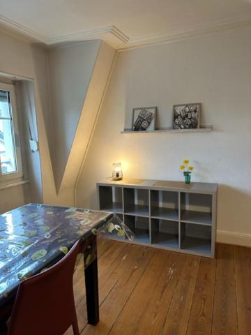Beau F3 - Proche Gare Apartamento Mulhouse Exterior foto